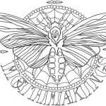 moth