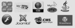 techicons
